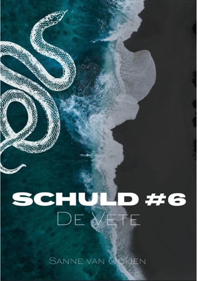 Afbeelding van Schuld De Vete