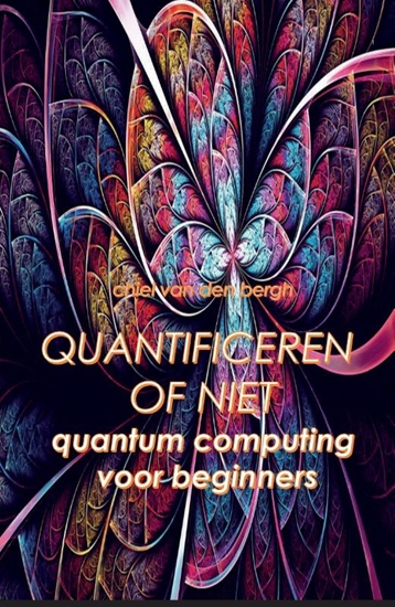 Afbeelding van Quantificeren of niet