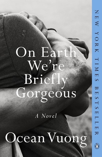 Afbeelding van On Earth We're Briefly Gorgeous