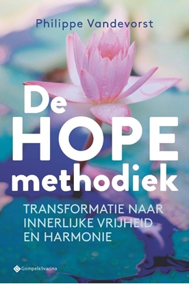 Afbeeldingen van Timotheus Boeken De HOPE-methodiek