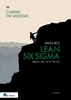 Afbeelding van Climbing the mountain Lean Six Sigma Green Belt