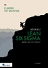 Afbeelding van Climbing the mountain Lean Six Sigma Green Belt