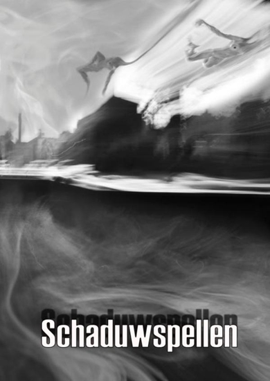 Afbeelding van Schaduwspellen