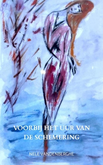 Afbeelding van Voorbij het uur van de schemering