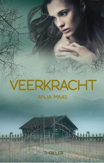 Afbeelding van Veerkracht