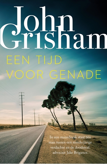 Afbeelding van Een tijd voor genade