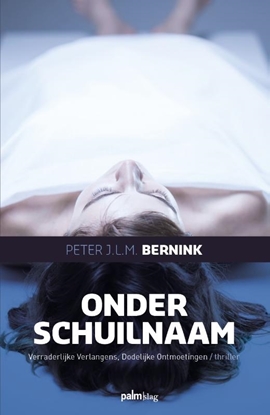 Afbeeldingen van Onder schuilnaam