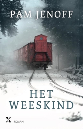 Afbeeldingen van Het weeskind