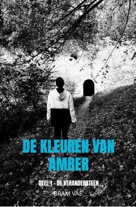 Afbeeldingen van De kleuren van Amber