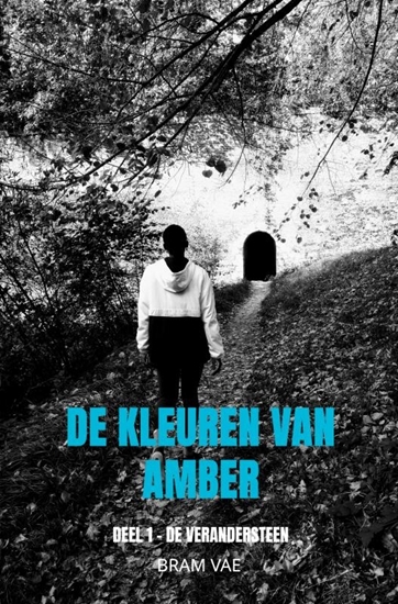 Afbeelding van De kleuren van Amber