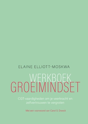 Afbeeldingen van Werkboek groeimindset