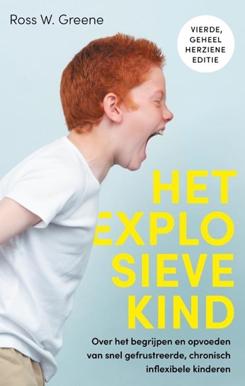 Afbeelding van Het explosieve kind