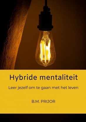 Afbeeldingen van Hybride mentaliteit