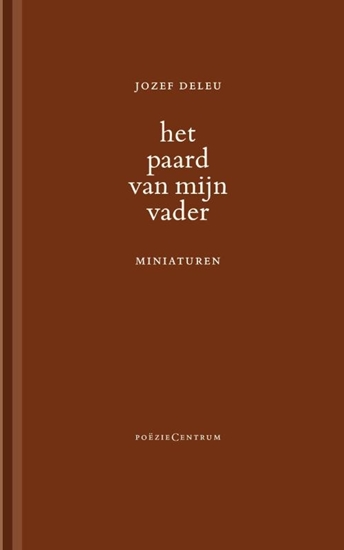 Afbeelding van Het paard van mijn vader