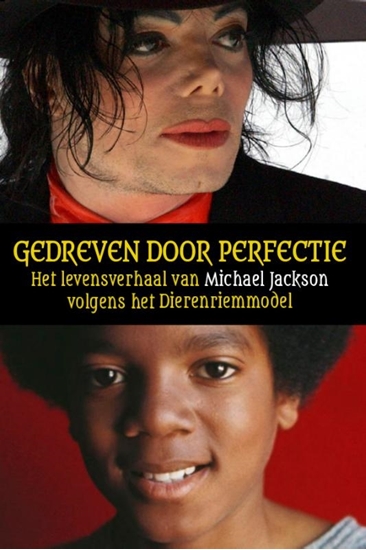 Afbeelding van Gedreven door perfectie