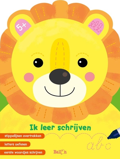 Afbeelding van Ik leer schrijven 5+