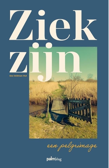 Afbeelding van Ziek zijn, een pelgrimage