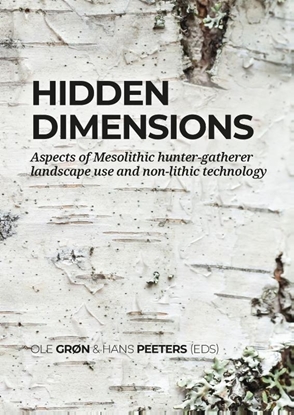 Afbeeldingen van Hidden dimensions