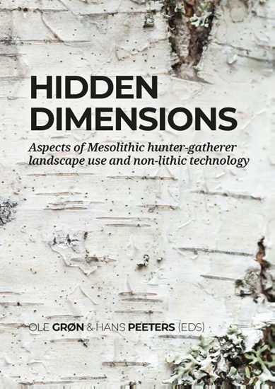 Afbeelding van Hidden dimensions