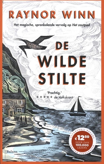 Afbeelding van De wilde stilte