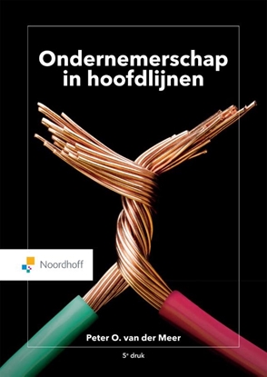Afbeeldingen van Ondernemerschap in hoofdlijnen