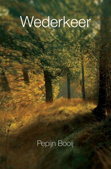 Afbeelding van Wederkeer