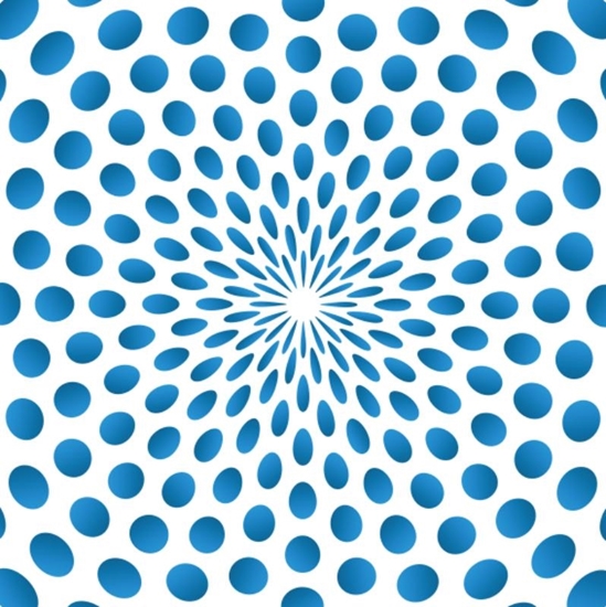 Afbeelding van Wie ben ik?