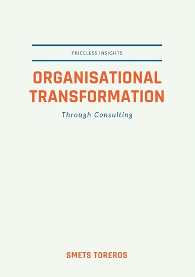 Afbeelding van Organisational Transformation through Consulting