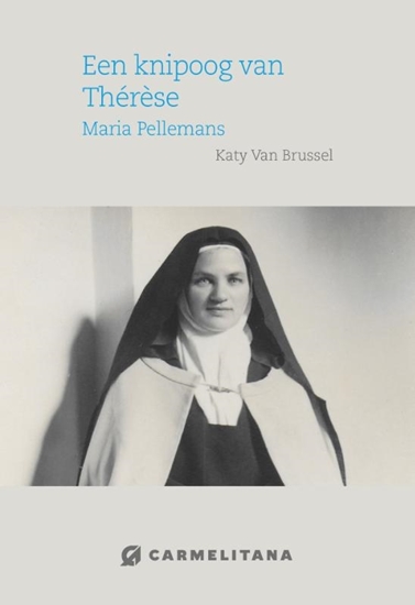 Afbeelding van Een knipoog van Therese