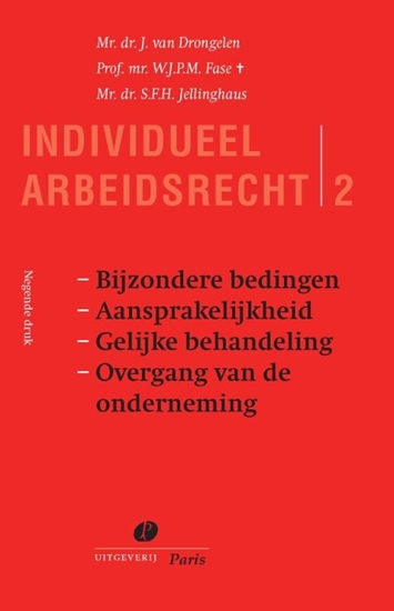 Afbeelding van Individueel Arbeidsrecht Bijzondere bedingen. Aansprakelijkheid. Gelijke behandeling. Overgang van de onderneming