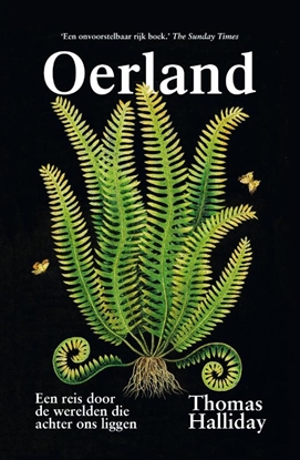 Afbeeldingen van Oerland