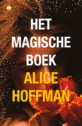 Afbeeldingen van Het magische boek