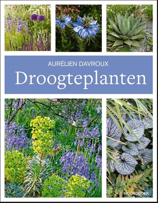 Afbeeldingen van Droogteplanten