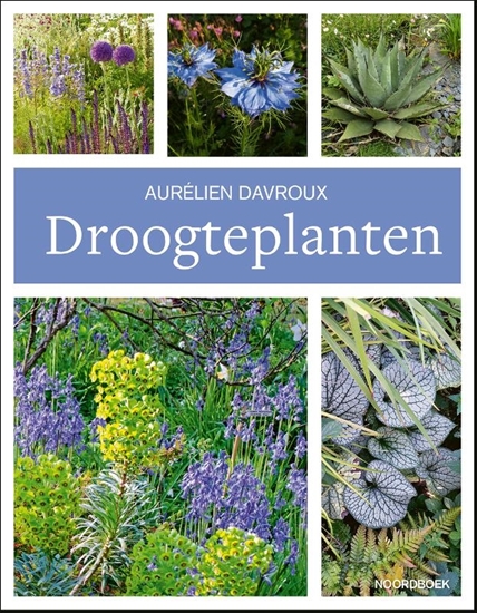 Afbeelding van Droogteplanten