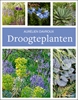 Afbeelding van Droogteplanten