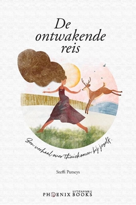 Afbeeldingen van De ontwakende reis