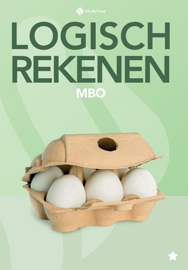 Afbeelding van Logisch Rekenen mbo niveau 1 Leerwerkboek