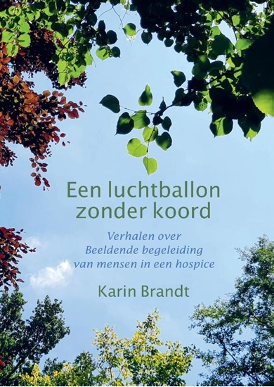 Afbeelding van Een luchtballon zonder koord
