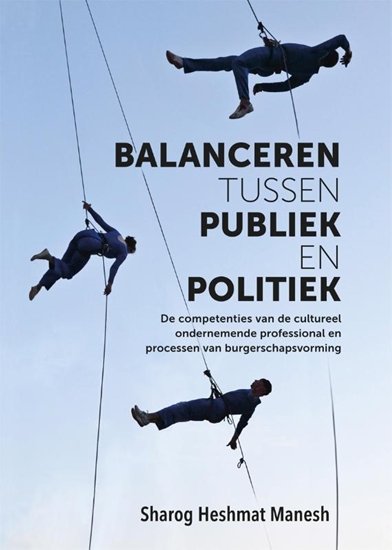 Afbeelding van Balanceren tussen publiek en politiek