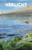 Afbeelding van Verlicht