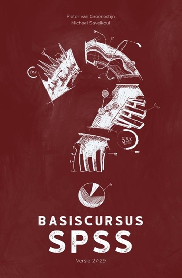 Afbeelding van Basiscursus SPSS