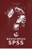 Afbeelding van Basiscursus SPSS