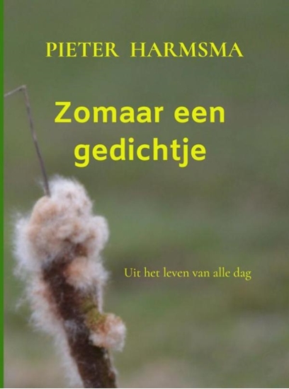 Afbeelding van Zomaar een gedichtje