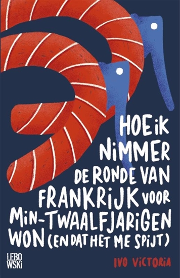 Afbeelding van Hoe ik nimmer de Ronde van Frankrijk voor min-twaalfjarigen won (en dat het me spijt)