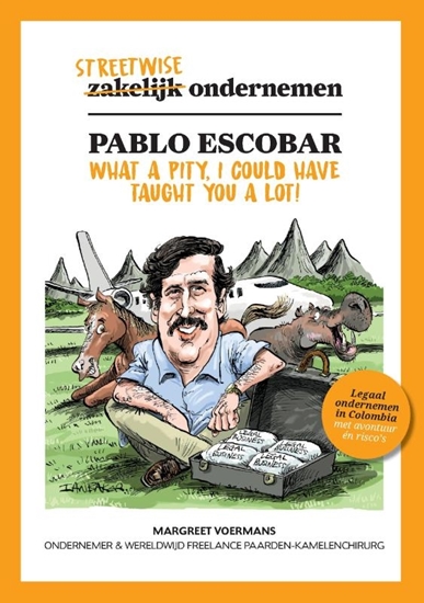 Afbeelding van Streetwise ondernemen