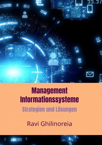 Afbeelding van Management Informationssysteme