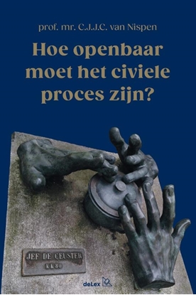 Afbeeldingen van Hoe openbaar moet het civiele proces zijn?