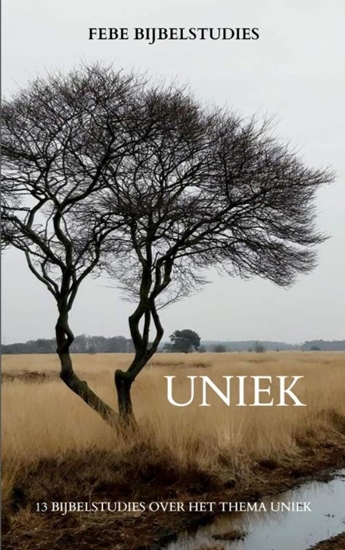 Afbeelding van Uniek