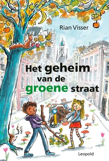 Afbeelding van Het geheim van de groene straat