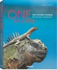 Afbeelding van One of a Kind